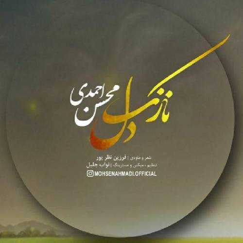 محسن احمدی  نازک دل